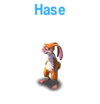 Hase              